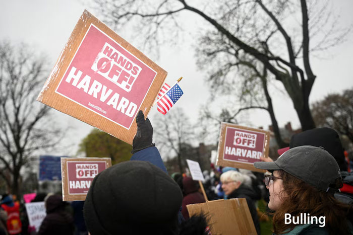havard-1.jpg